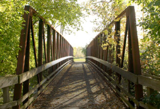 A footbridge through the woods
