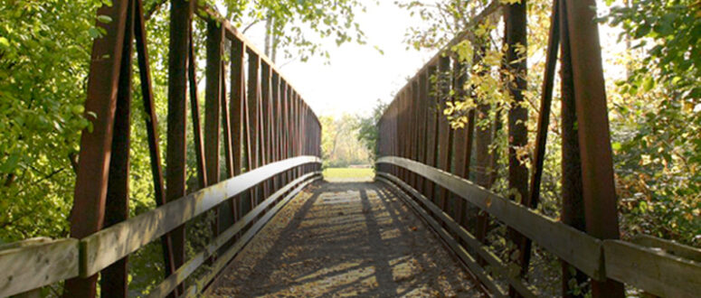 A footbridge through the woods